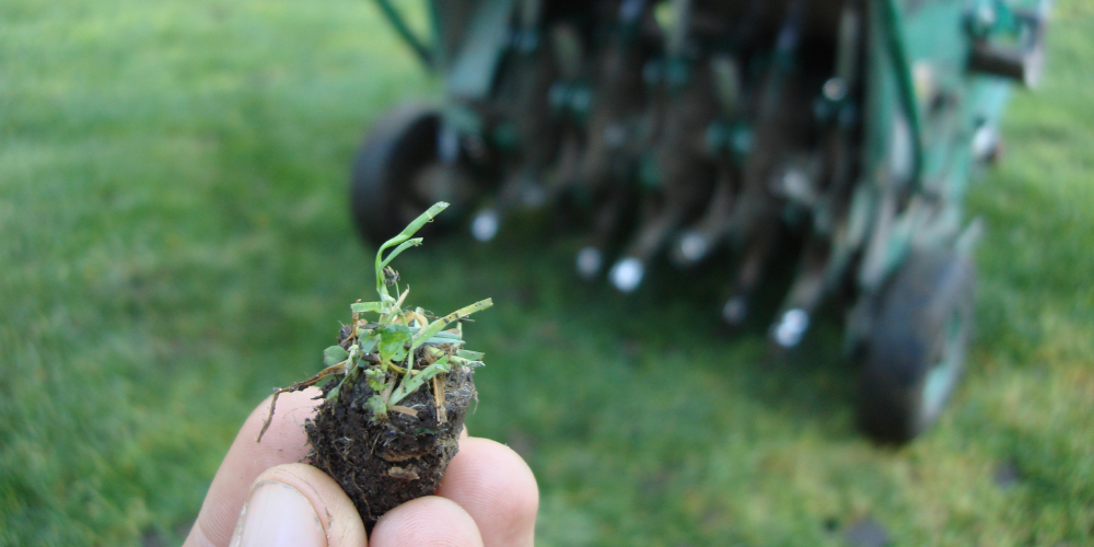 Wallaces Garden Center-Bettendorf-Iowa-Fall Lawn Care-aeration of lawn