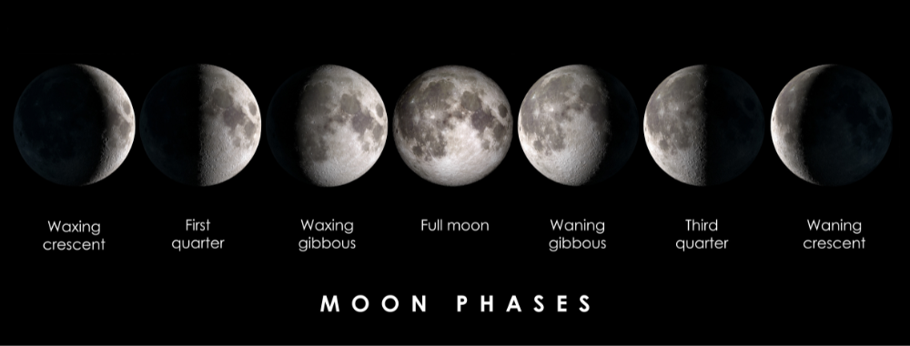 Wallaces Garden Center-Bettendorf-Iowa-Moon Gardens-moon phases