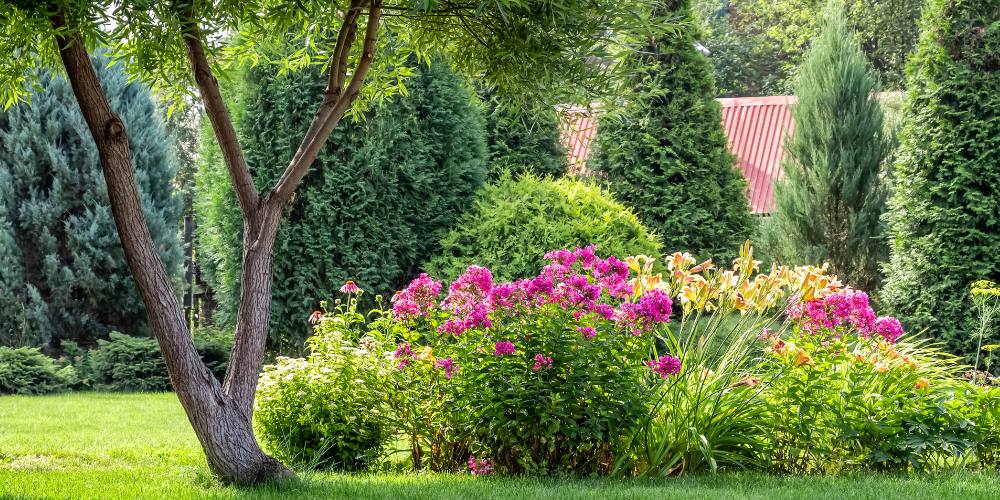 Wallaces Garden Center-Bettendorf-Iowa-Post-Bloom Perennial Care in Iowa-PERENNIAL GARDEN