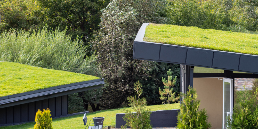 green roof on home