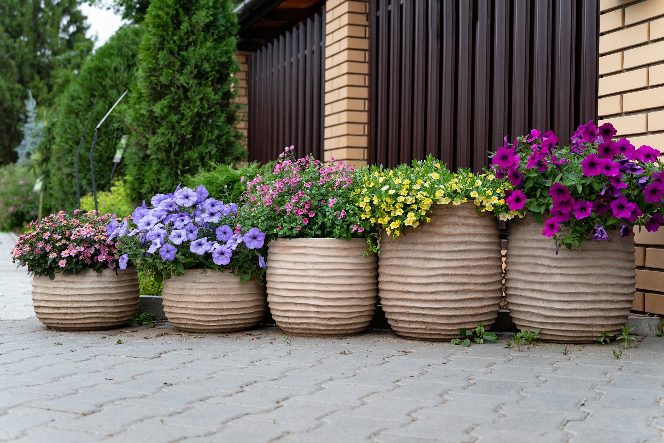 Wallaces_Garden_Center_Bettendorf_Iowa-A-Row-of-Flower-Pots-Filled-With-Colorful-Blooms