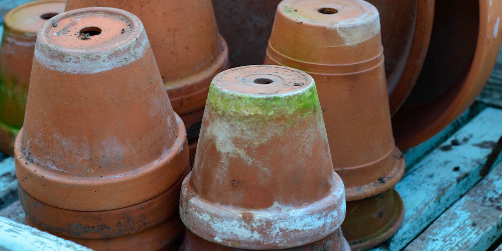 terra cotta pots with white minteral deposits