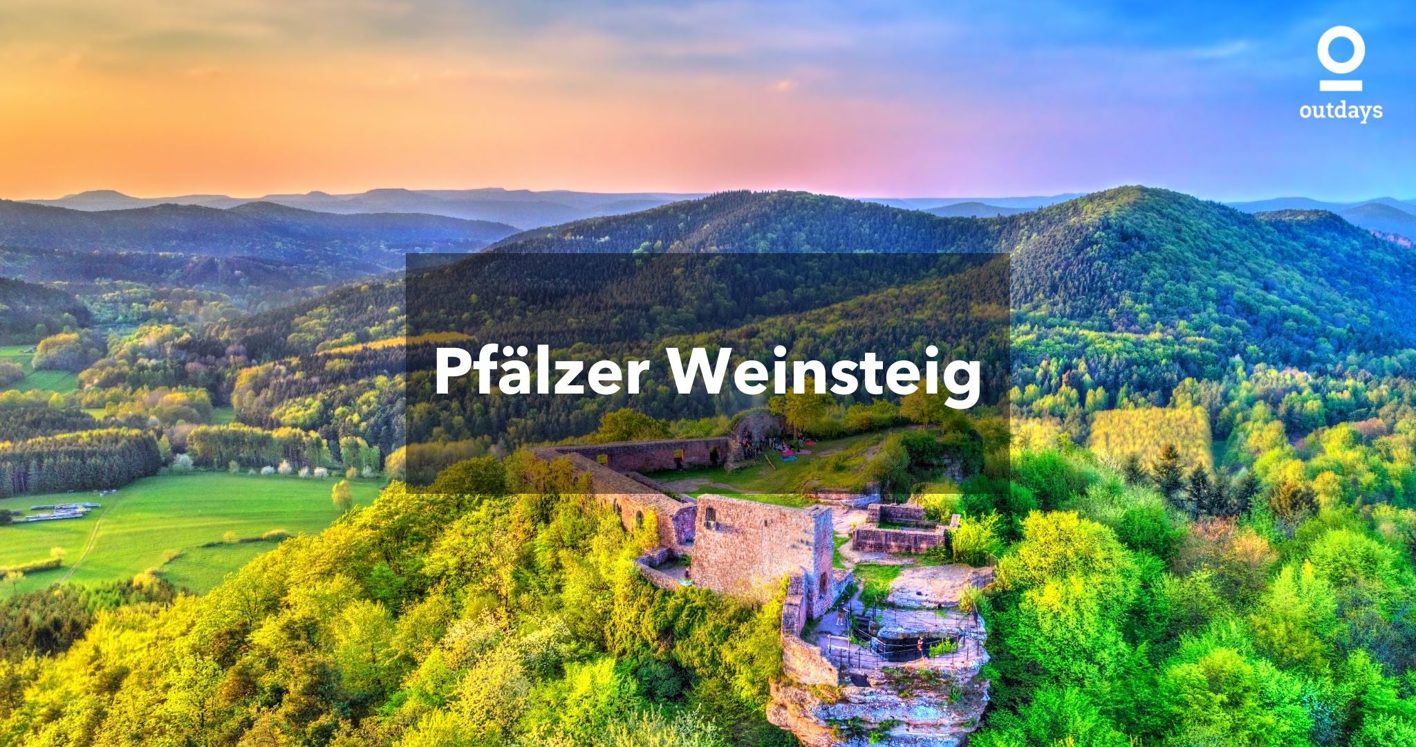 Weite Aussicht über die Pfälzer Weinberge: Pfälzer Weinsteig