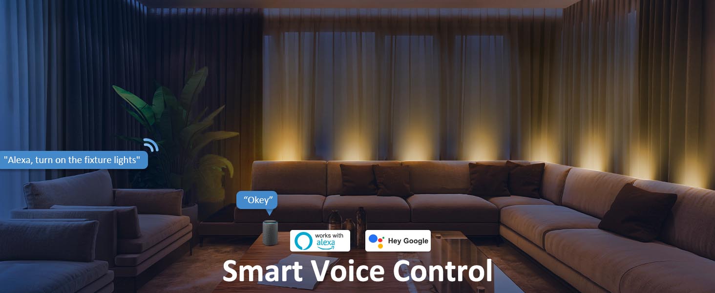 Appeck RGBCW Smart Wall-Voice