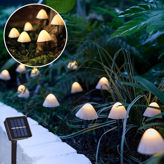 guirlande lumineuse solaire solarmush avec panneau solaire dans une plat-de-bande.
