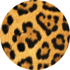 Animal Prints Cases & Skins