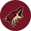 Shop Arizona Coyotes Cases & Skins