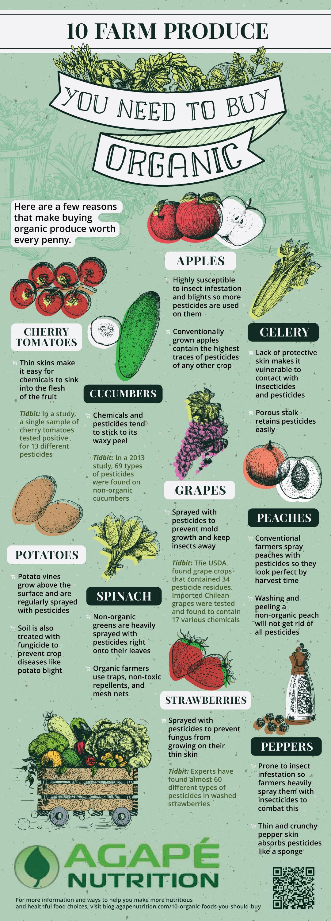 Agape Nutrition | Farm Produce You Need To Buy Organic | Organic Foods List