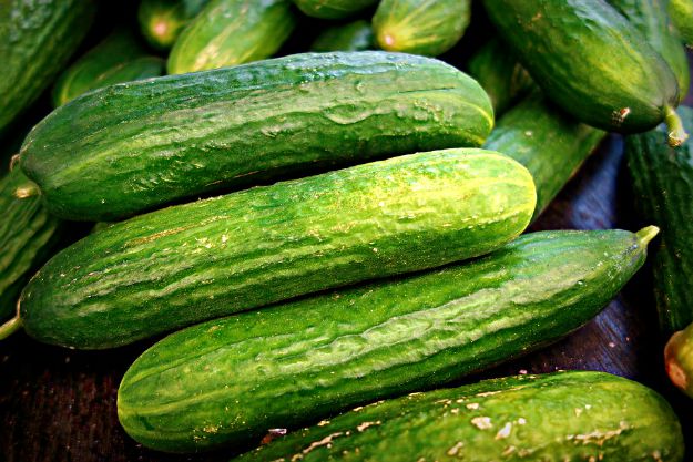 Cucumbers | List of Foods to Buy Organic | The Organic Groceries You Actually Need | Organic Foods List