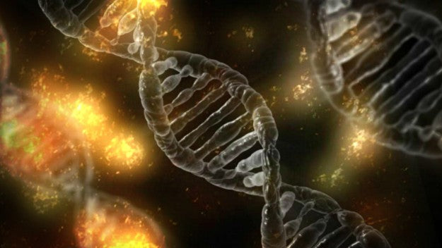 What Is MTHFR Gene Mutation? | MTHFR Gene Mutation FAQs | Mthfr A664a | mthfr gene mutation | mthfr mutation | homocysteine levels