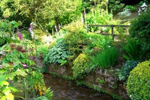 Herb garden