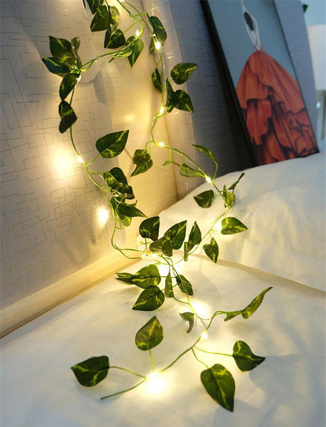Cadena de luces de eneldo verde - Luces de hadas - Decora Sala - Luminaria - Luz de Navidad | TrendHaus - Decoración del hogar