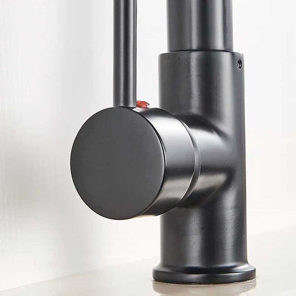 Single-lever Black Gourmet Kitchen Faucet | TrendHaus - Home Decoration