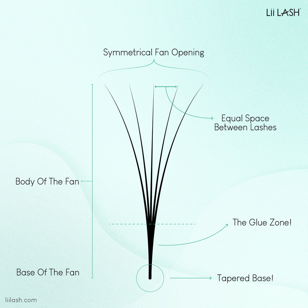 perfect lash fan with symmetrical opening