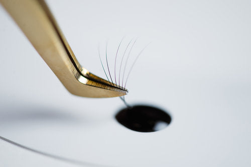 Close-up image of tweezers delicately pulling a fan of lashes and dipping them into a drop of lash glue, showcasing the precise and meticulous process of creating a lash extension fan during application