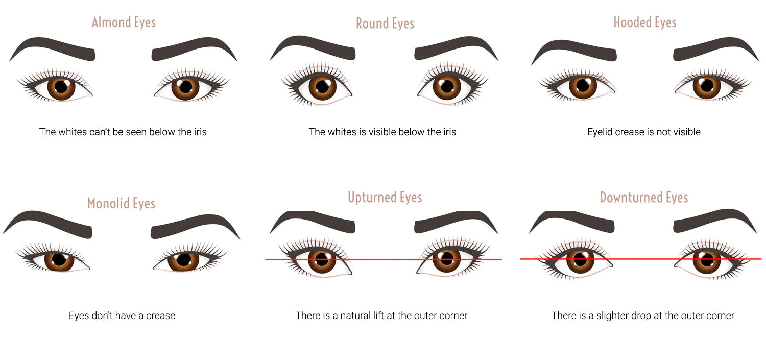 various types of eye shapes: monolid eyes, hooded eyes, upturned eyes, downturned eyes, almond eyes, round eyes