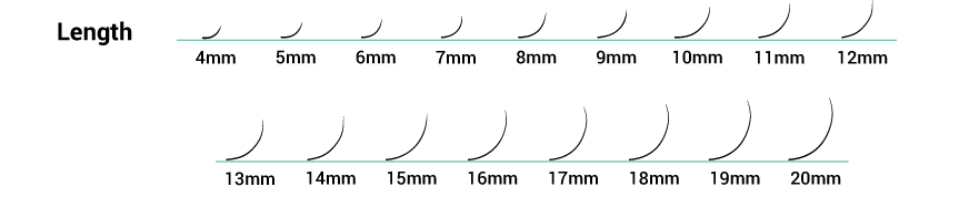 A visual representation of various lengths of eyelash extensions, offering clients a range of choices for achieving their desired lash look