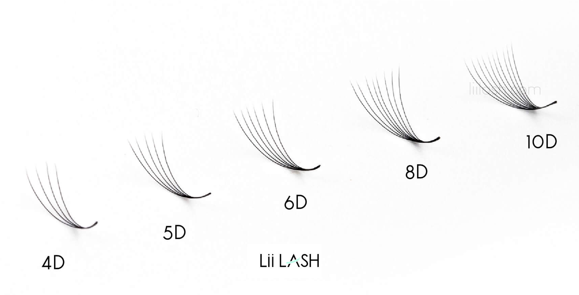A visual depiction displaying various dimensions of volume premade fan eyelash extensions, varying from 4D to 8D, offering options for customized lash styles and volume