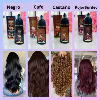 Carta de colores disponibles