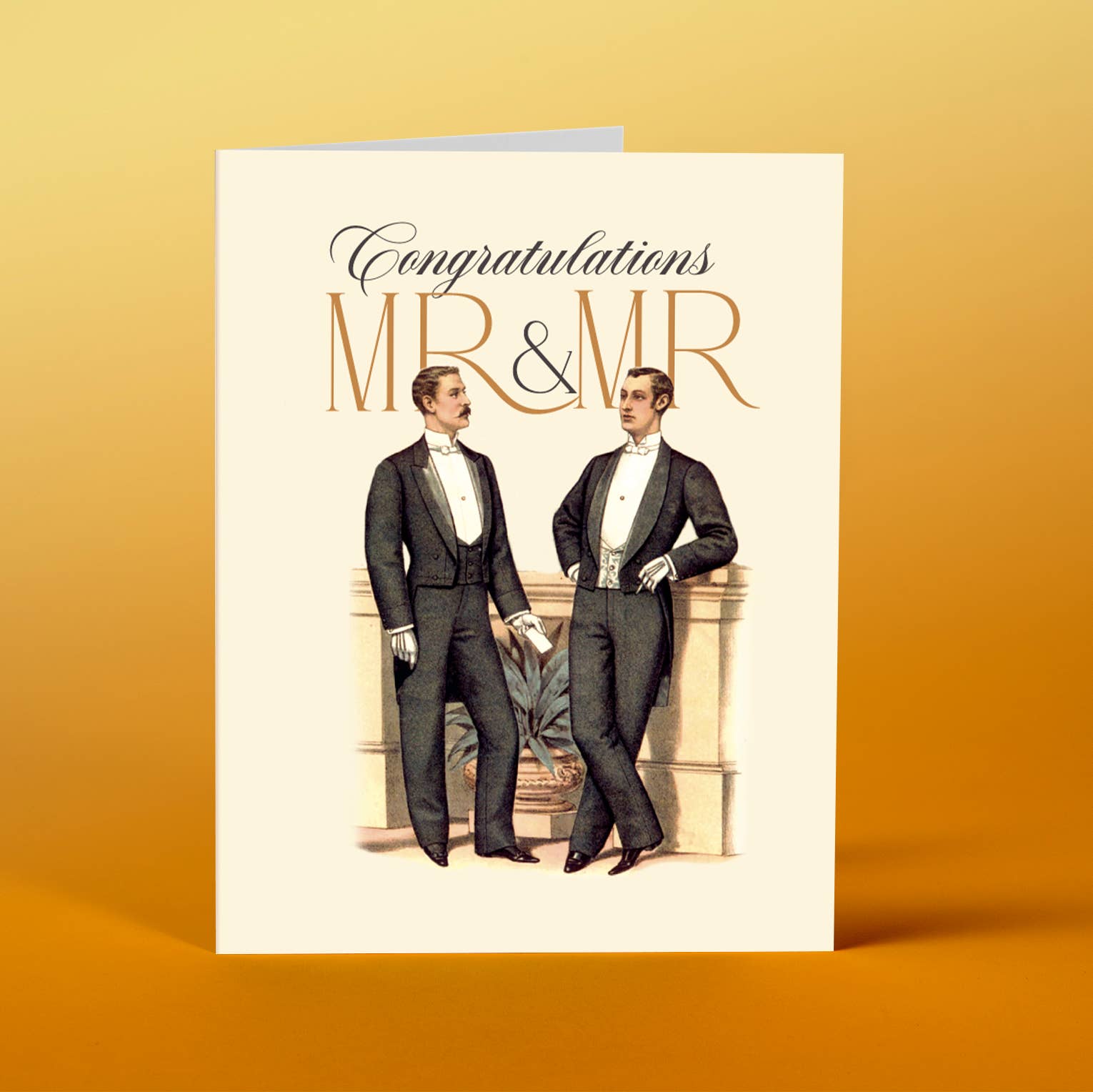 Mr & Mr - Wedding