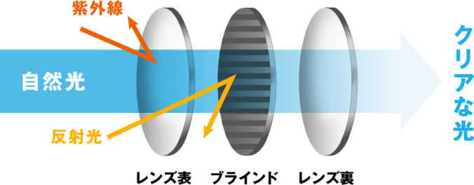 What are polarized lenses?