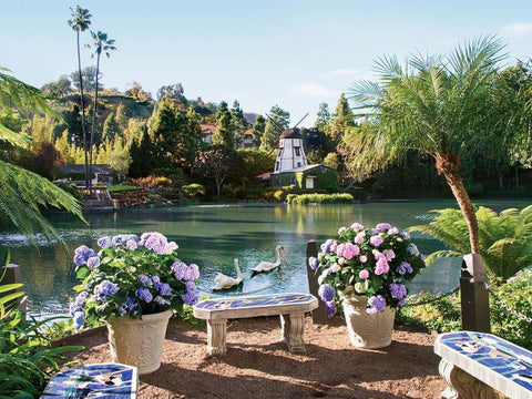 Lake Shrine Meditation Los Angeles