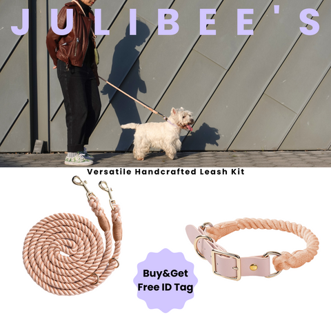 Julibee's hands free dog lead