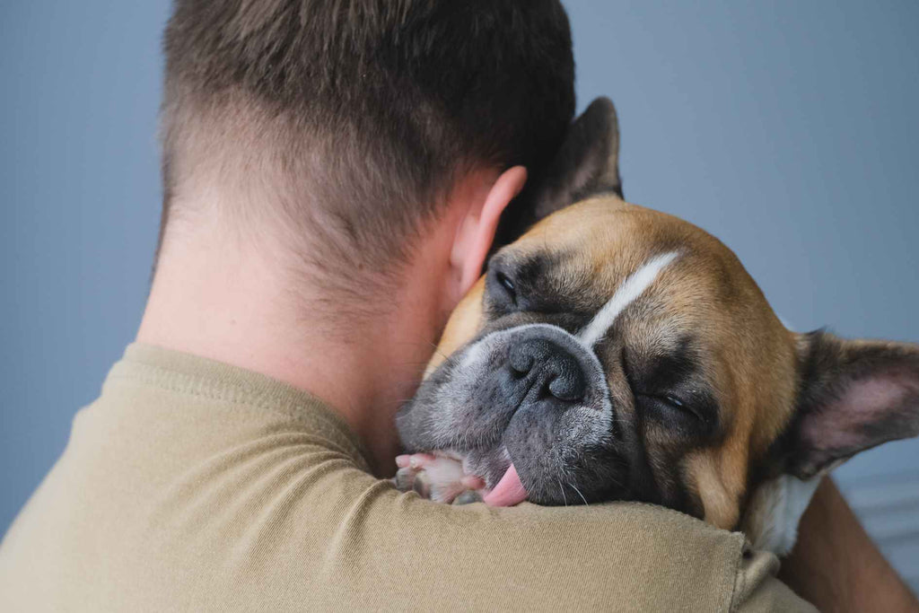 Do Dogs Enjoy Hugs