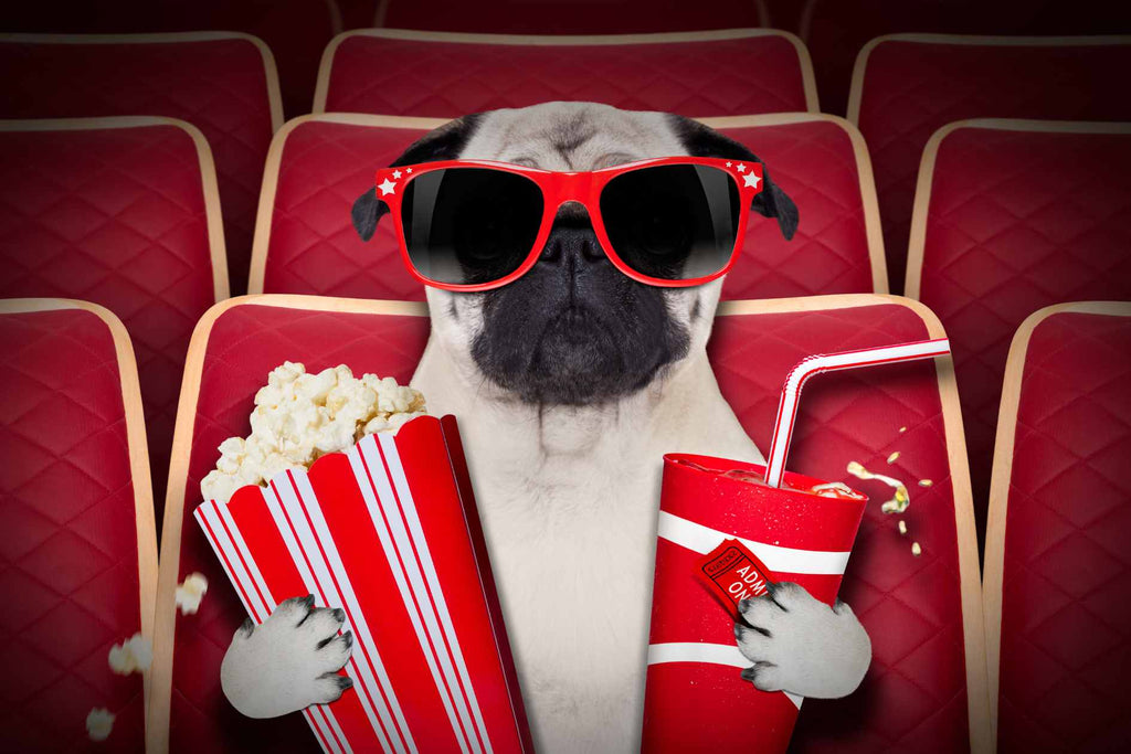 Dog Lovers Must Watch Top 10 Dog Movies in 2020-2024