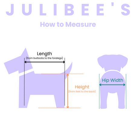 FlexiPaws Dog Wheelchair Size Chart