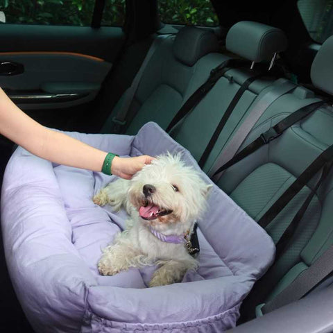 5 Best Dog Car Beds for large dogs