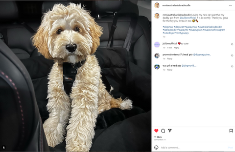 Commentaires sur le siège auto de luxe pour chien Julibee