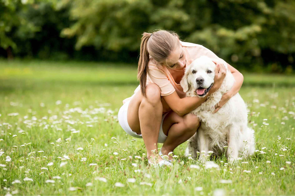 My Dog Won't Cuddle Why and How to Help Them Love Hugs