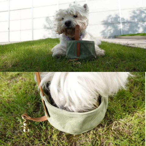 portable dog feeder