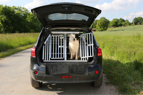 dog car crate