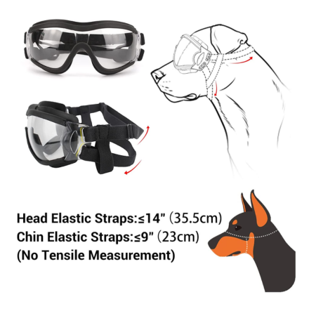 Taille des lunettes de chien