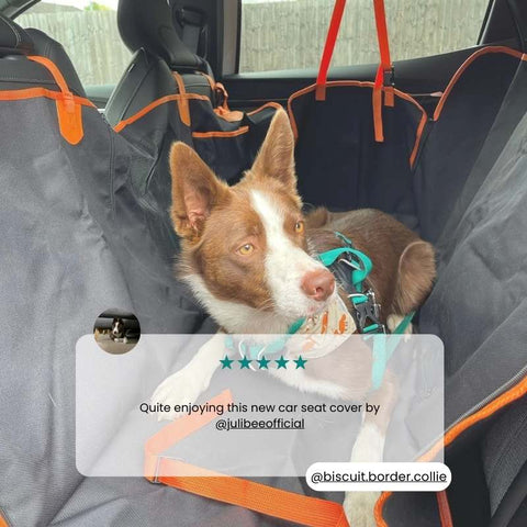 dog car seat cover-review