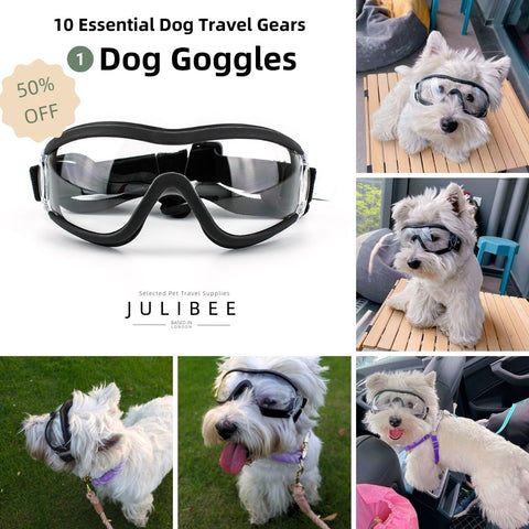 Dog Goggles