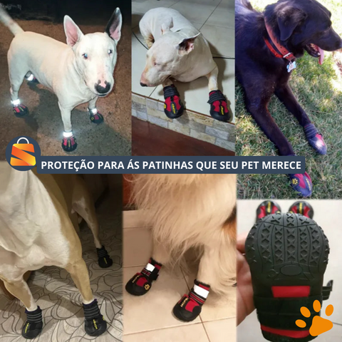 Proteção Patinhas, Sapatos Cachorro, Conforto Segurança, Passeios Sem Limites, Frete grátis Segura, Patinhas Sem Sujeira, Cão Confortável, Calor Escaldante, Patinhas Frescas, Ajuste Perfeito, Franco Center