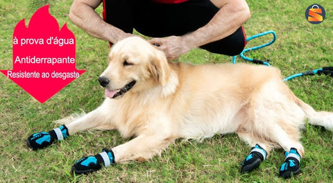 Proteção Patinhas, Sapatos Cachorro, Conforto Segurança, Passeios Sem Limites, Frete grátis Segura, Patinhas Sem Sujeira, Cão Confortável, Calor Escaldante, Patinhas Frescas, Ajuste Perfeito, Franco Center