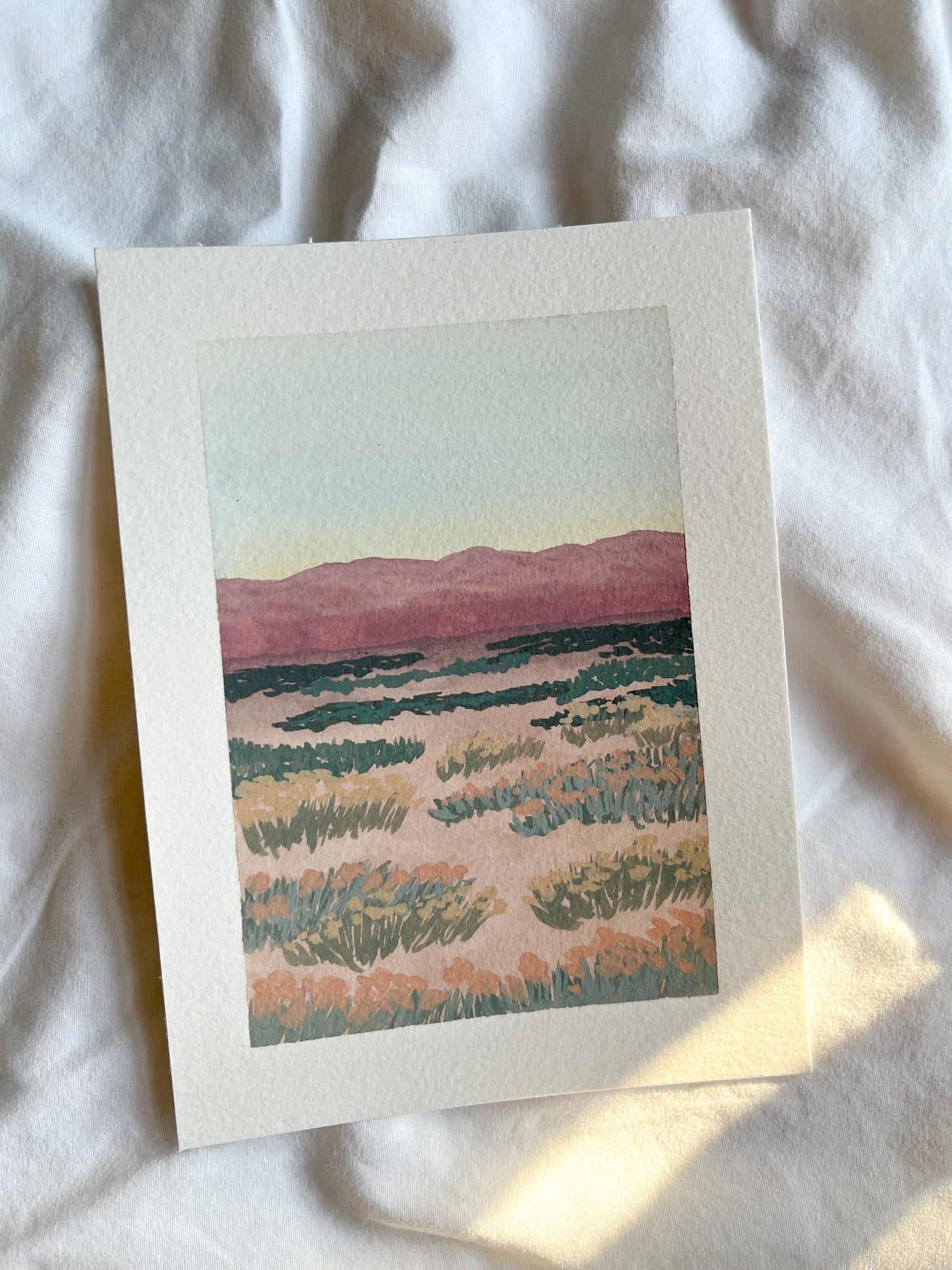 Why I paint blooming deserts