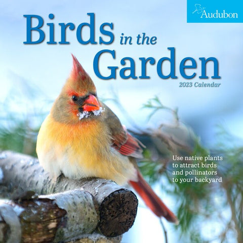 2023 oiseaux audubon dans le calendrier mural du jardin – Indigo Books