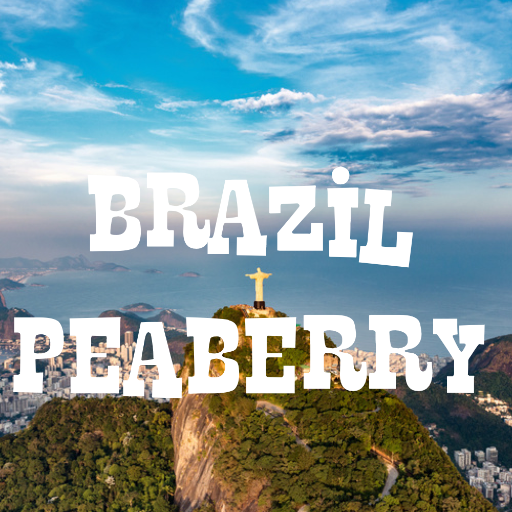 Brazil Peaberry Wholesale Coffee - Volcanica Wholesale Coffee product image