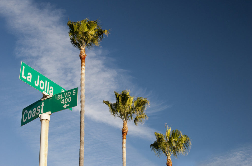 la jolla sign with palm trees