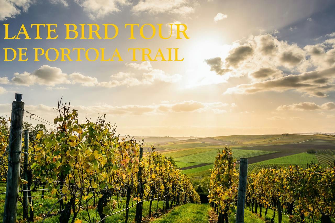 Temecula Valley Wine Country Tour