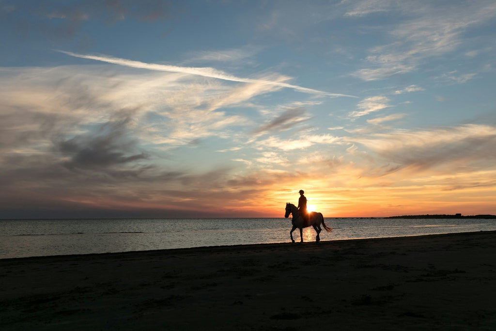 horse riding on the beach at sunset