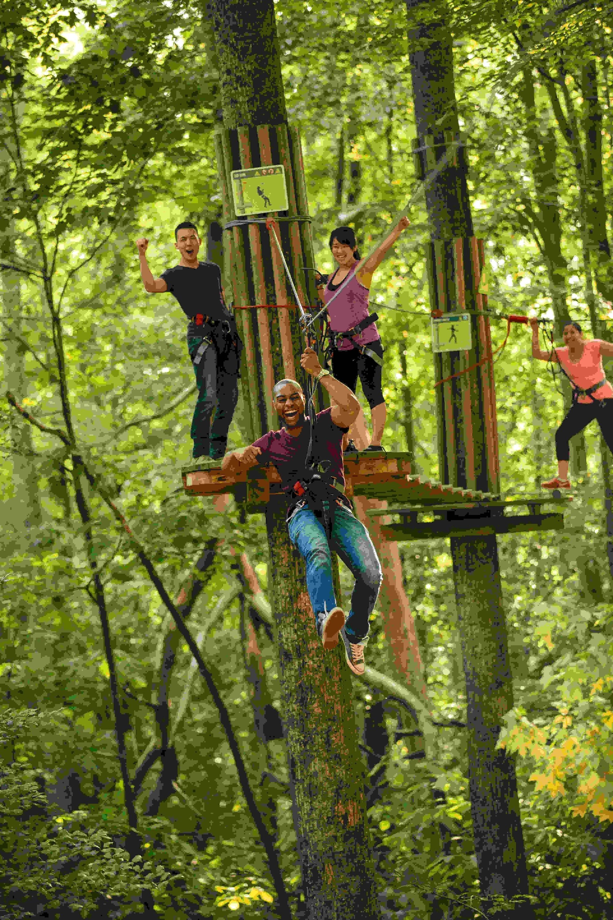 Arlington Axe Throwing and Treetop Adventure with Go Ape
