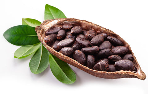 Peruvian Cacao