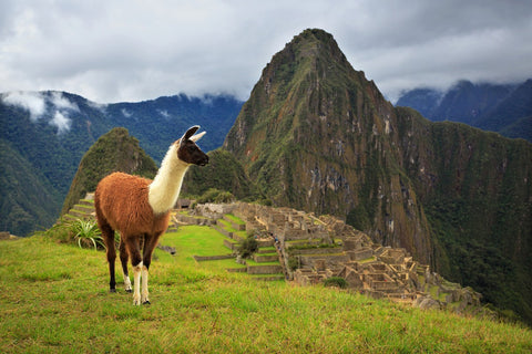 Peru Machu Picchu