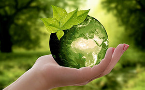 STAS CSR ecological footprint